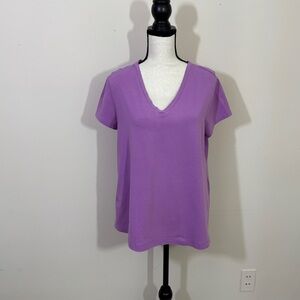 Purple V-Neck Women's maternity top size medium